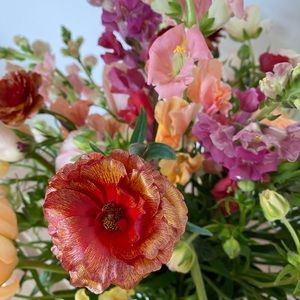 Meet your Posher, Ben